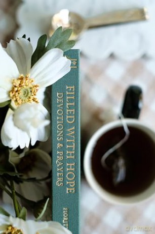 Filled with Hope Devotions and Prayers: Inspiration for a Confident Heart: Inspiration for an Expectant Heart - Jessie Fioritto [KSIĄŻKA]