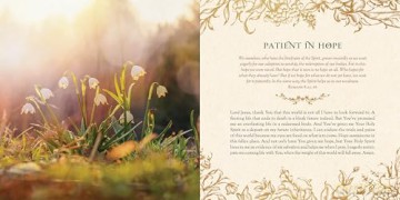Filled with Hope Devotions and Prayers: Inspiration for a Confident Heart: Inspiration for an Expectant Heart - Jessie Fioritto [KSIĄŻKA]