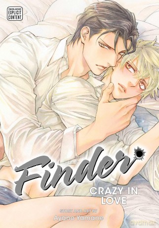 Finder Deluxe Edition: Crazy in Love, Vol. 14: Volume 14 - Ayano Yamane [KOMIKS]