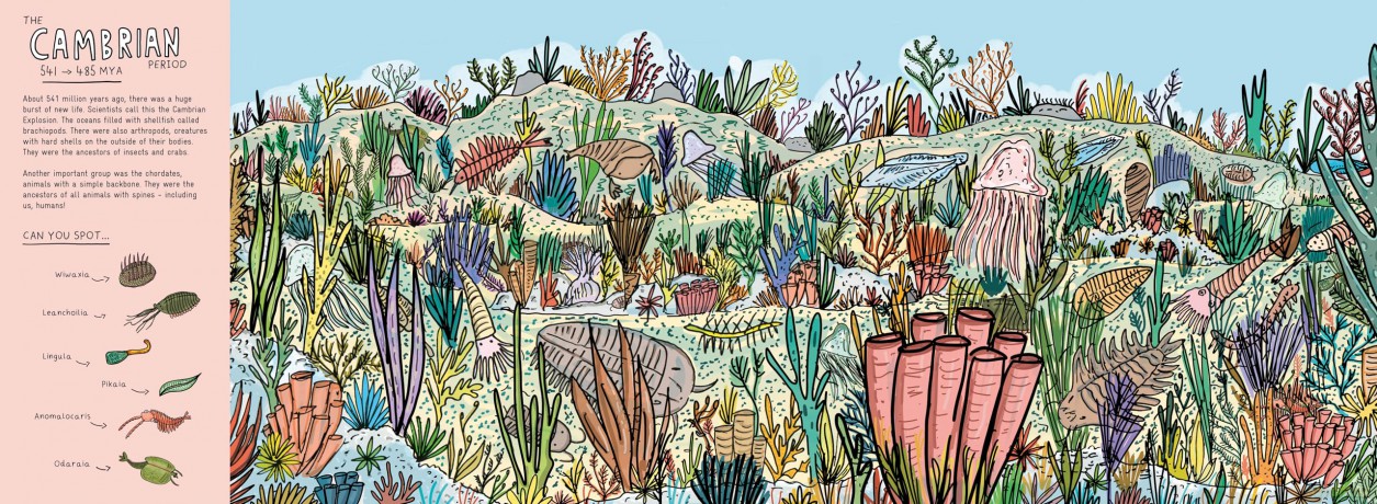 Finding Life: A Prehistoric Search and Find - Sophie Williams [KSIĄŻKA]