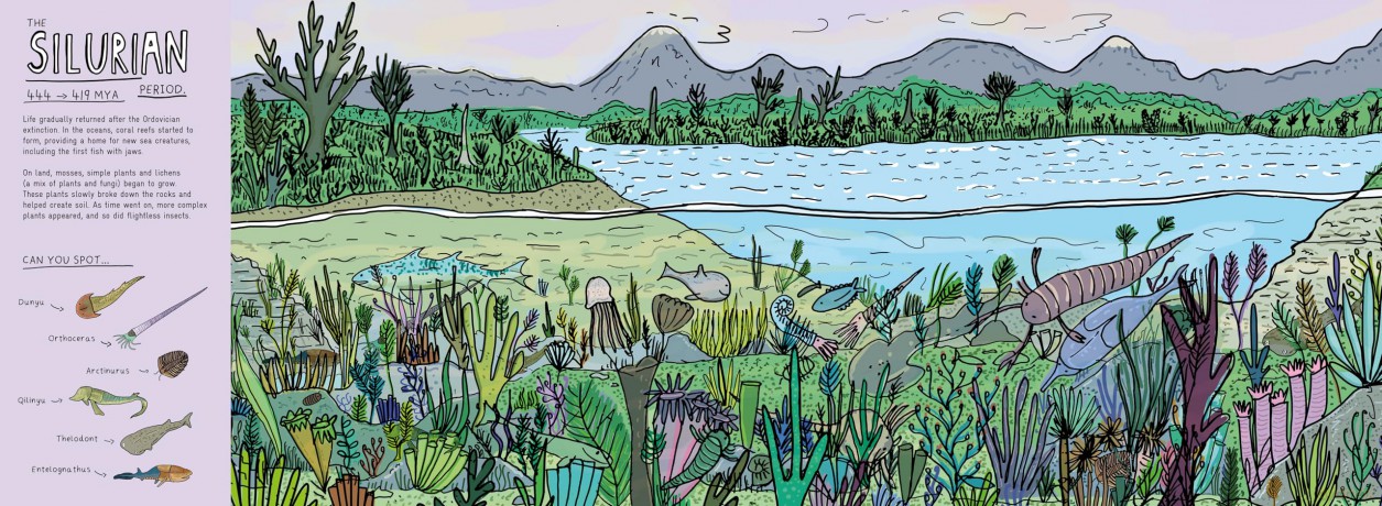 Finding Life: A Prehistoric Search and Find - Sophie Williams [KSIĄŻKA]