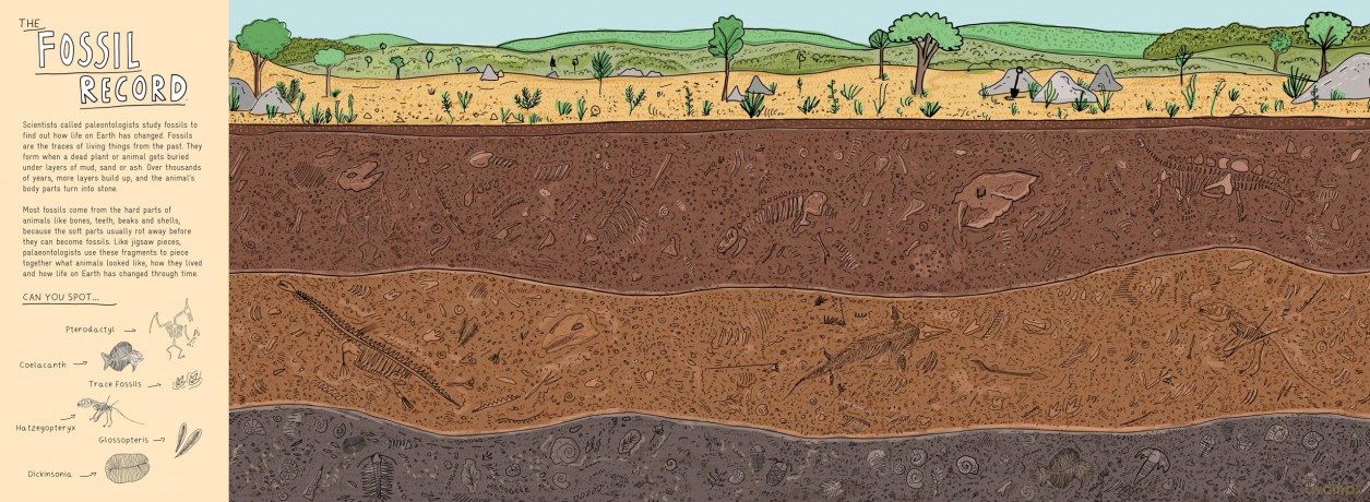Finding Life: A Prehistoric Search and Find - Sophie Williams [KSIĄŻKA]
