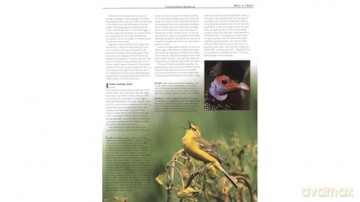 Firefly Encyclopedia of Birds - Christopher Perrins [KSIĄŻKA]