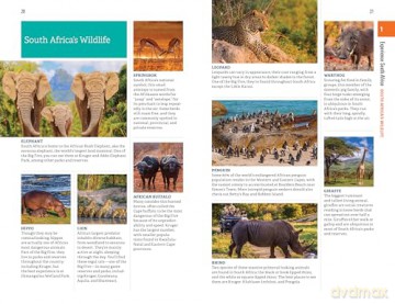 Fodor's Essential South Africa: with the Best Safari Destinations and Wine Regions (Full-color Travel Guide) - Fodor's Travel Guides [KSIĄŻKA]