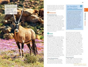 Fodor's Essential South Africa: with the Best Safari Destinations and Wine Regions (Full-color Travel Guide) - Fodor's Travel Guides [KSIĄŻKA]