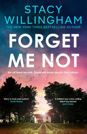 Forget Me Not: The gripping new thriller you don't want to miss about family secrets - Stacy Willingham [KSIĄŻKA]