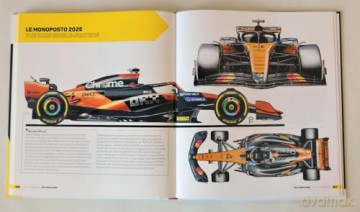 Formula 1 2023/2024 Technical Insights: Hot Topics 2025 (Formula 1 Technical Insights) - Paolo Filisetti [KSIĄŻKA]