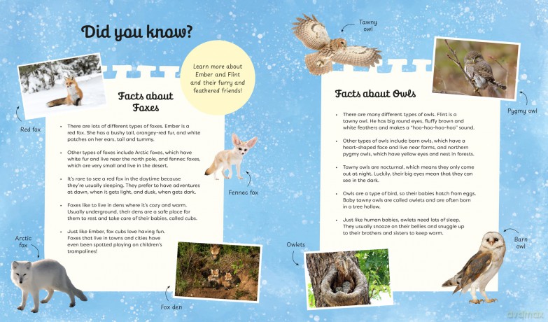 Fox and Owl's Winter Adventure (Animal Friends Through the Seasons) - Jackie Lui [KSIĄŻKA]
