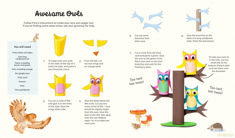 Fox and Owl's Winter Adventure (Animal Friends Through the Seasons) - Jackie Lui [KSIĄŻKA]