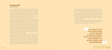 Framing Fatherhood: A Celebration of Black Fathers - Imani M. Cheers [KSIĄŻKA]