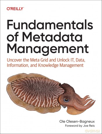 Fundamentals of Metadata Management: Uncover the Meta Grid and Unlock Data, Information, and Knowledge Management - Ole Olesen-Bagneux [KSIĄŻKA]