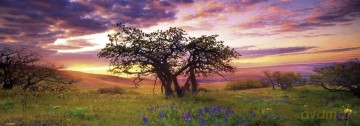 Heye 2000 elementów Oak Tree [PUZZLE]