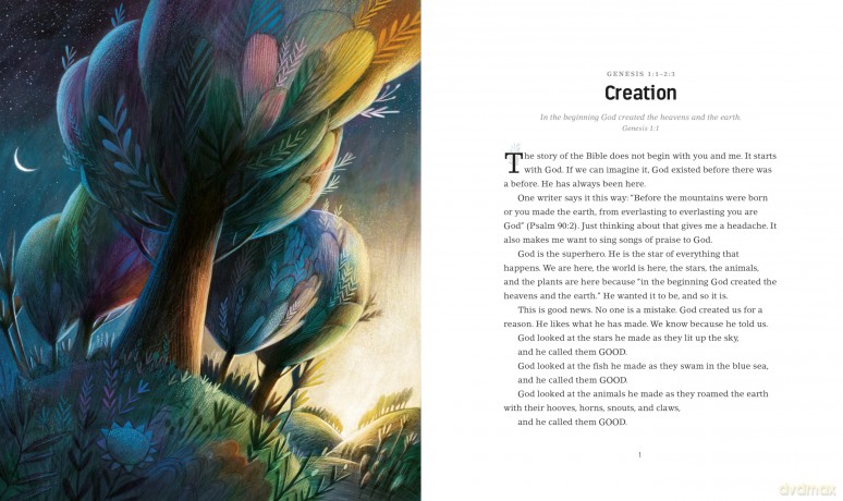 God's Colourful Kingdom Storybook Bible: The Story of God's Big Diverse Family - Esau McCaulley [KSIĄŻKA]