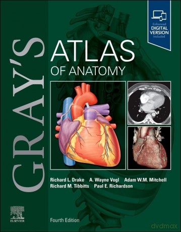 Gray's Atlas of Anatomy - Richard L. Drake PhD [KSIĄŻKA]