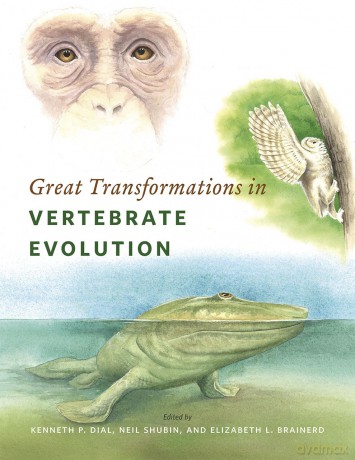 Great Transformations in Vertebrate Evolution (Emersion: Emergent Village resources for communities of faith) - Kenneth P. Dial [KSIĄŻKA]