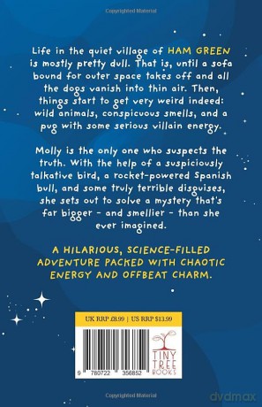 Ham, Ed and Chips: A Rocket-fueled Comedy Adventure for Kids Aged 7-11 - Tom Phipps [KSIĄŻKA]