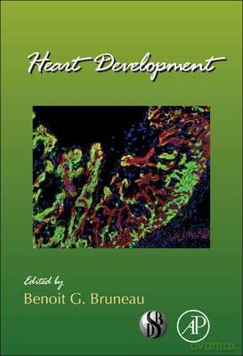 Heart Development [KSIĄŻKA]