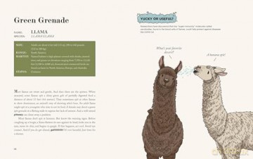 How Rude!: Animals That Burp, Toot, Spit, and Screech to Survive - Chana Stiefel [KSIĄŻKA]