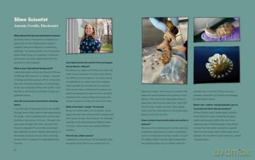 How Rude!: Animals That Burp, Toot, Spit, and Screech to Survive - Chana Stiefel [KSIĄŻKA]