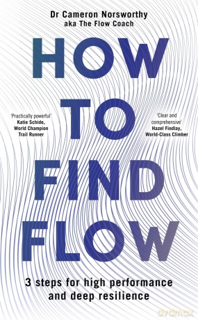 How to Find Flow: 3 steps for high performance and deep resilience - Cameron Norsworthy [KSIĄŻKA]