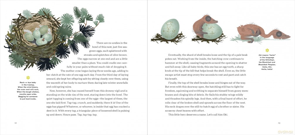 How to Know a Crow: The Biography of a Brainy Bird - Candace Savage [KSIĄŻKA]
