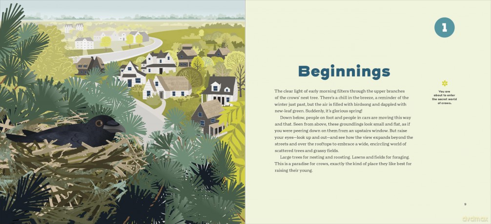 How to Know a Crow: The Biography of a Brainy Bird - Candace Savage [KSIĄŻKA]