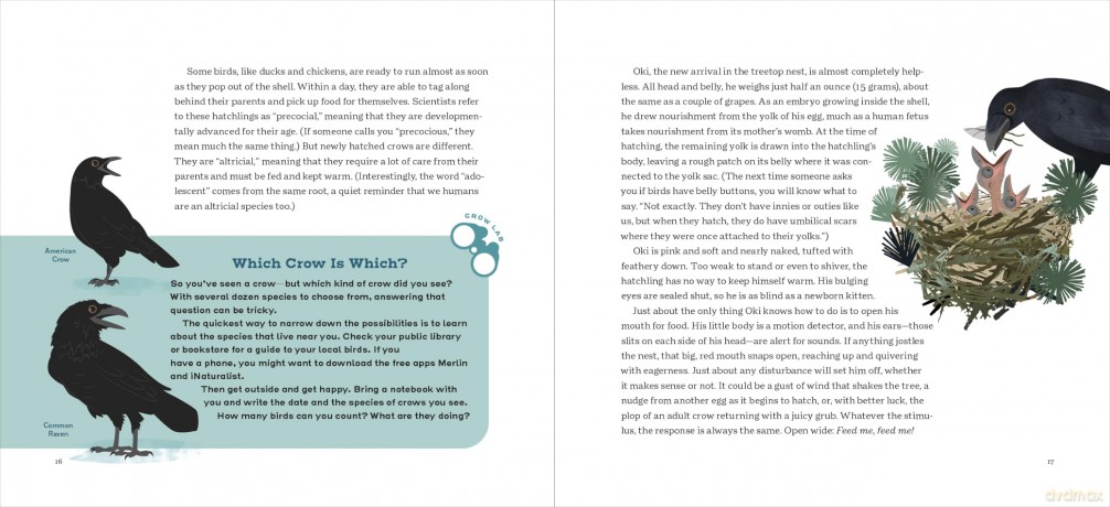 How to Know a Crow: The Biography of a Brainy Bird - Candace Savage [KSIĄŻKA]