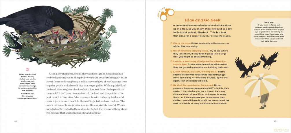 How to Know a Crow: The Biography of a Brainy Bird - Candace Savage [KSIĄŻKA]