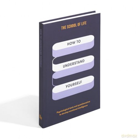 How to Understand Yourself: Psychological tests and questionnaires to develop emotional intelligence - The School of Life [KSIĄŻKA]
