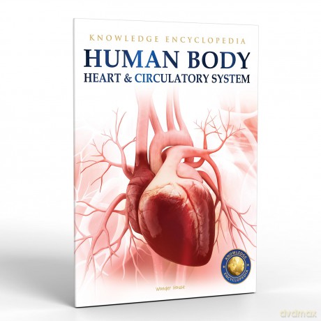 Human Body - Heart And Circulatory System: Knowledge Encyclopedia For Children [KSIĄŻKA]