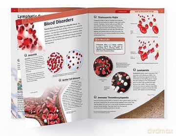 Human Body - Heart And Circulatory System: Knowledge Encyclopedia For Children [KSIĄŻKA]