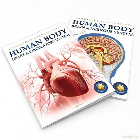 Human Body - Heart And Circulatory System: Knowledge Encyclopedia For Children [KSIĄŻKA]