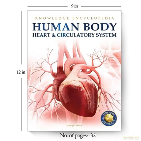 Human Body - Heart And Circulatory System: Knowledge Encyclopedia For Children [KSIĄŻKA]