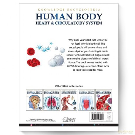 Human Body - Heart And Circulatory System: Knowledge Encyclopedia For Children [KSIĄŻKA]