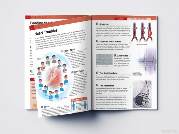 Human Body - Heart And Circulatory System: Knowledge Encyclopedia For Children [KSIĄŻKA]