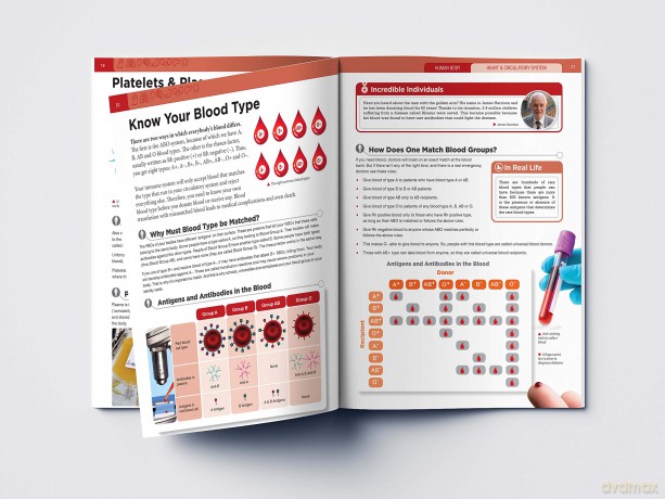 Human Body - Heart And Circulatory System: Knowledge Encyclopedia For Children [KSIĄŻKA]