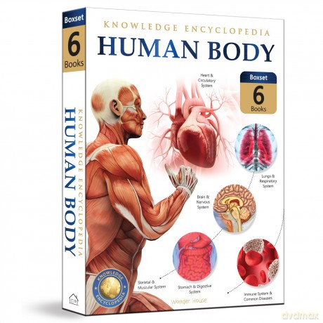Human Body Box Set: Knowledge Encyclopedia For Children [KSIĄŻKA]