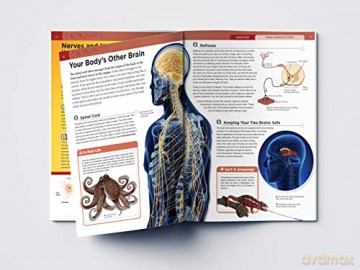 Human Body Box Set: Knowledge Encyclopedia For Children [KSIĄŻKA]
