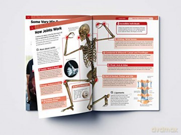 Human Body Box Set: Knowledge Encyclopedia For Children [KSIĄŻKA]