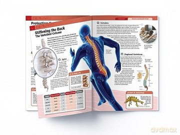Human Body Box Set: Knowledge Encyclopedia For Children [KSIĄŻKA]