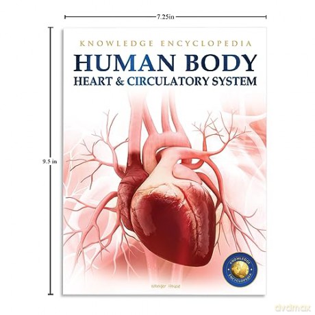 Human Body Box Set: Knowledge Encyclopedia For Children [KSIĄŻKA]