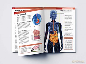 Human Body Box Set: Knowledge Encyclopedia For Children [KSIĄŻKA]