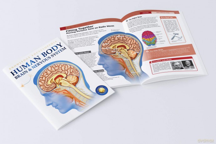 Human Body Box Set: Knowledge Encyclopedia For Children [KSIĄŻKA]