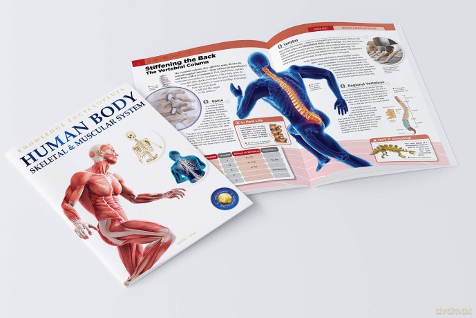 Human Body Box Set: Knowledge Encyclopedia For Children [KSIĄŻKA]
