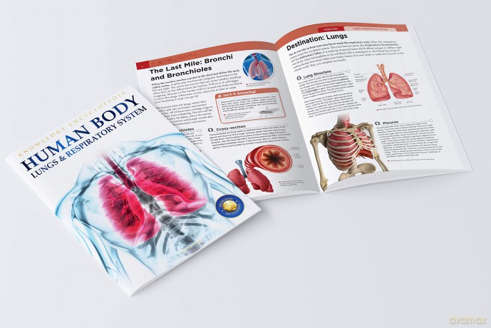 Human Body Box Set: Knowledge Encyclopedia For Children [KSIĄŻKA]