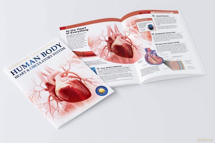 Human Body Box Set: Knowledge Encyclopedia For Children [KSIĄŻKA]