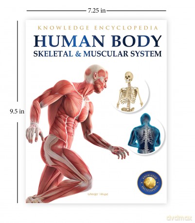 Human Body Box Set: Knowledge Encyclopedia For Children [KSIĄŻKA]