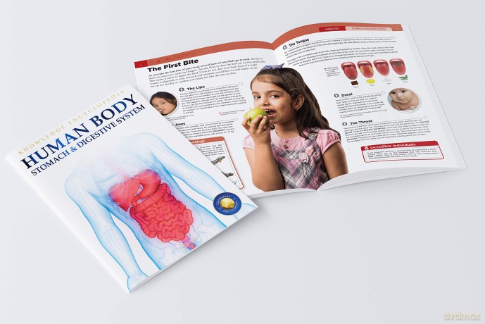 Human Body Box Set: Knowledge Encyclopedia For Children [KSIĄŻKA]