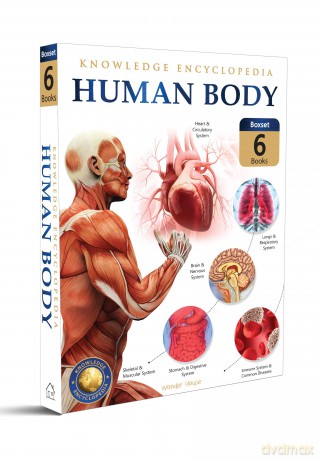 Human Body Box Set: Knowledge Encyclopedia For Children [KSIĄŻKA]