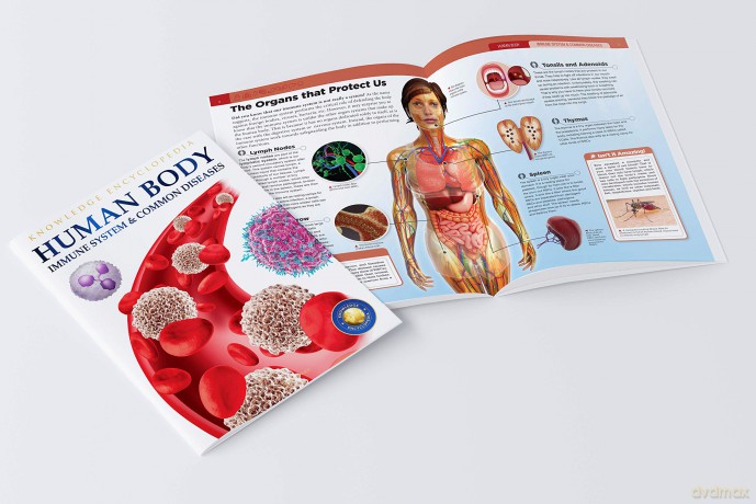 Human Body Box Set: Knowledge Encyclopedia For Children [KSIĄŻKA]